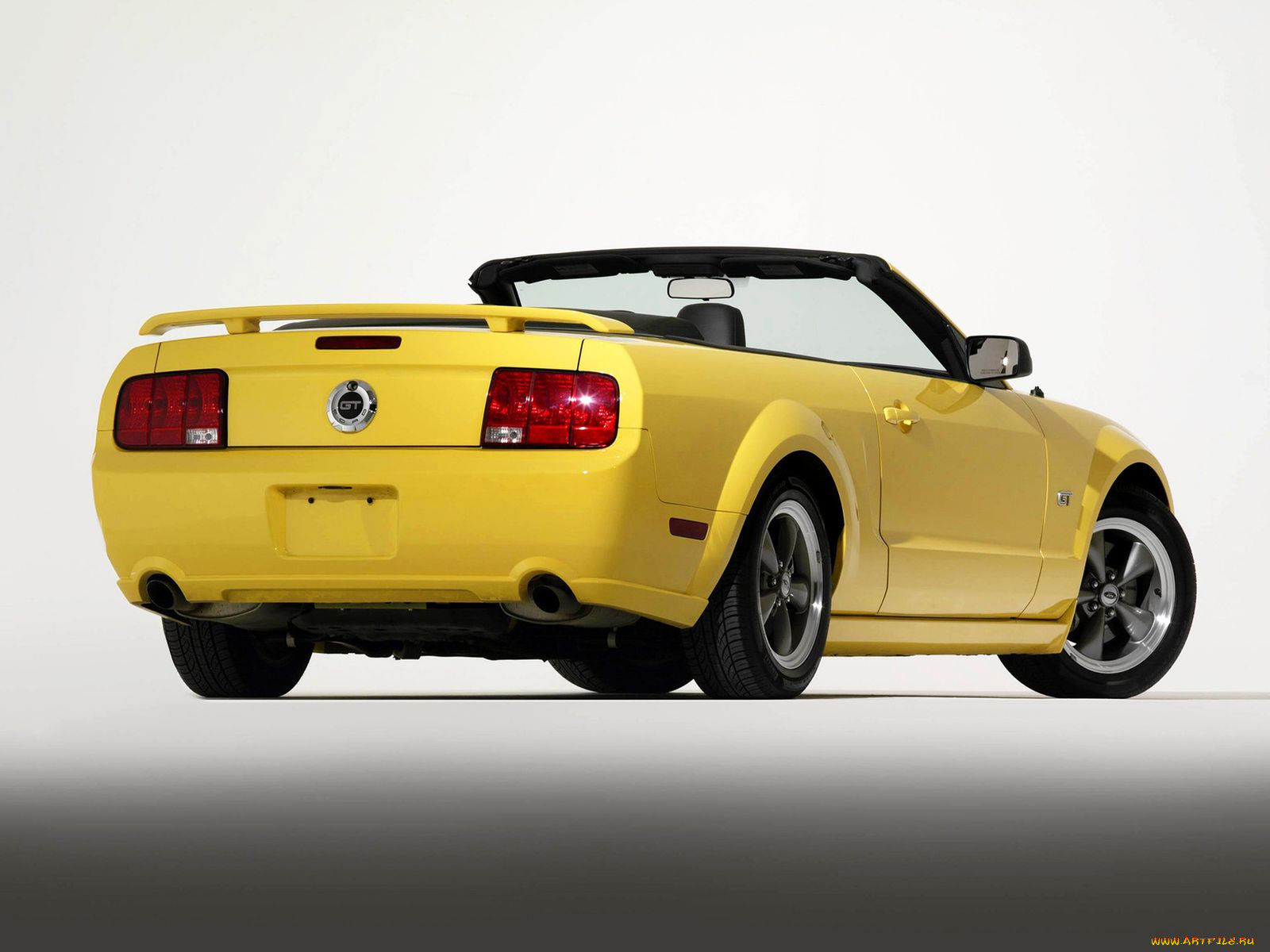 , mustang